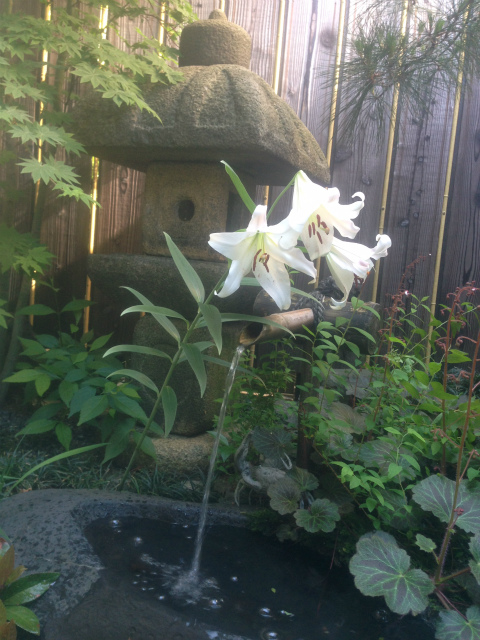 作品集・葉月園